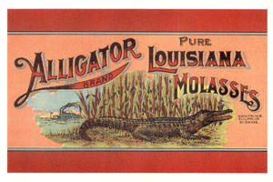 Louisiana Molasses